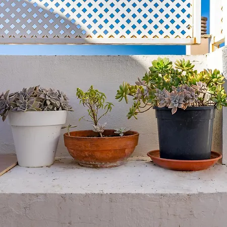 Casa Mirador Alqueria Сasa de vacaciones
